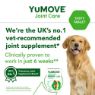 Picture of YuMOVE Joint Care for Adult Dogs 60 tab x 1