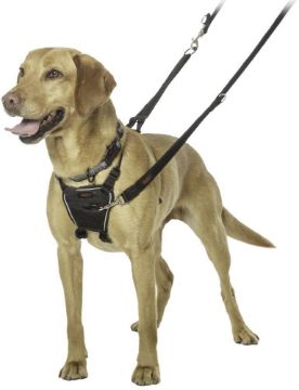 Picture of Halti No Pull Harness Large x 1