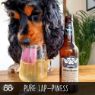 Picture of Bottom Sniffer Dog Beer for Dogs 330ml x 1