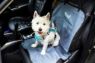 Picture of Henry Wag Pet Single Car Seat Cover x 1