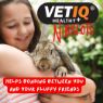 Picture of VETIQ Nibblots Carrot for Small Animal 30g x 8