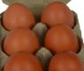 Picture of Supa Egg Boxes x 8
