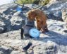 Picture of Henry Wag Travel Treat Bag x 1