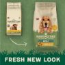 Picture of Harringtons Adult Dog Turkey & Veg 1.7kg
