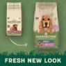 Picture of Harringtons Adult Dog Lamb & Rice 1.7kg
