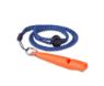 Picture of Coachi Dog Training Whistle x 1