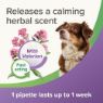 Picture of Beaphar StressLess Dog Calming Spot-On 3 Pipette x 1