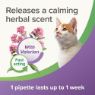 Picture of Beaphar StressLess Cat Herbal Calming Spot-On 3 Pipette x 1