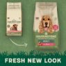 Picture of Harringtons Adult Dog Salmon & Potato 1.7kg