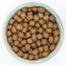 Picture of Burns Sensitive Dog Duck & Brown Rice 6kg