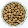 Picture of Burns Original Adult Dog Fish & Brown Rice 6kg