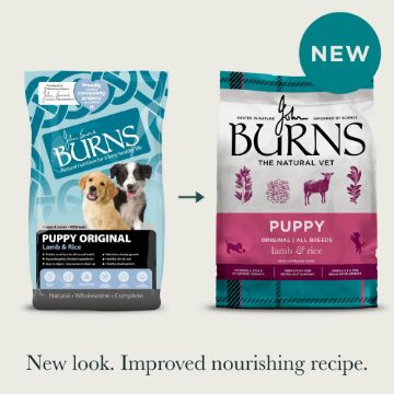 Picture of Burns Puppy Original Lamb & Rice 6kg