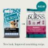 Picture of Burns Puppy Original Lamb & Rice 6kg