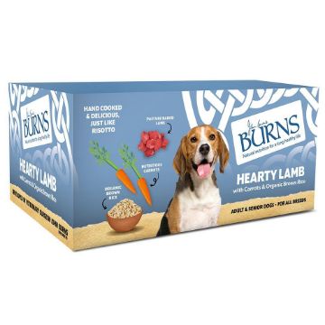 Picture of Burns Tray Adult Dog Lamb 150g x 7