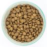 Picture of Burns Toy & Small Breed 2kg