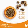 Picture of Iams Kitten Chicken 2kg