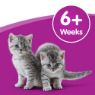 Picture of Whiskas Cat Milk 200ml 3-Pk x 5