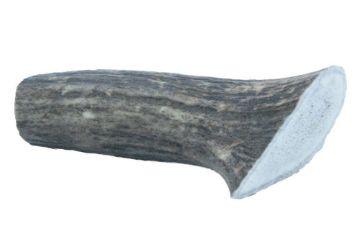 Picture of Wild Antler Co. Deer Antler Small x 1