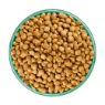 Picture of JWB Adult Small Breed Dog Grain Free Turkey & Veg 1.5kg