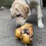 Picture of T Forrest Roasted Knuckle Bones - Box of 20