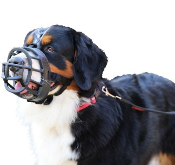 Picture of Baskerville Ultra Basket Muzzle Size 6 x 1