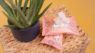Picture of Adios Compostable 25 Pet Wipes x 1