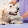 Picture of Beaphar DOG CaniComfort Calming Spray 30ml x 1