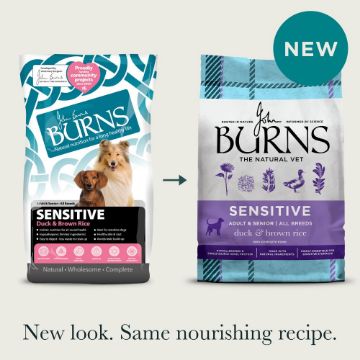 Picture of Burns Sensitive Dog Duck & Brown Rice 2kg