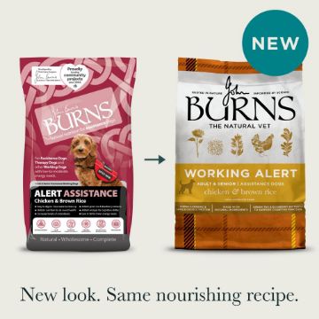 Picture of Burns Dog Alert Assistance Chicken & Brown Rice 6kg