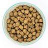 Picture of Burns Dog Alert Assistance Chicken & Brown Rice 6kg