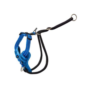 Picture of ROGZ Stop Pull Harness Medium Blue 32-52cm x 1