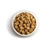 Picture of Chappie Complete Chicken & Wholegrain 3kg