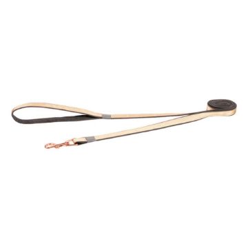 Picture of ROGZ URBAN Classic Dog Lead Gold Rush Medium 1.8m