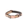 Picture of ROGZ URBAN Classic Dog Collar Gold Rush Small 