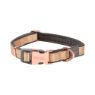 Picture of ROGZ URBAN Classic Dog Collar Gold Rush Medium 