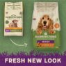 Picture of Harringtons Dog Senior Chicken 12kg