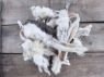 Picture of K9 Chew Co. Hairy Rabbit Ears 1kg x 1