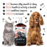 Picture of Bugalugs Scottish Salmon Oil 500ml x 1
