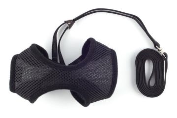 Picture of Ancol Cat Comfort Harness & Lead Set Small Black x 1