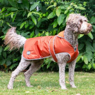 Picture of Ancol Stormguard Dog Coat Terracotta X-Large 60cm x 1