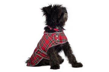 Picture of Ancol Red Tartan Dog Coat Medium 40cm x 1