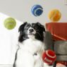 Picture of KONG Air Dog Sports SOFTIE Balls Large 3" 2-Pack x 1