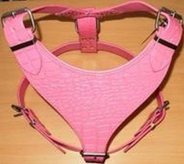 Picture of Avon Large Mastiff 'Breastplate' Harness Plain Pink Croc Leather x 1