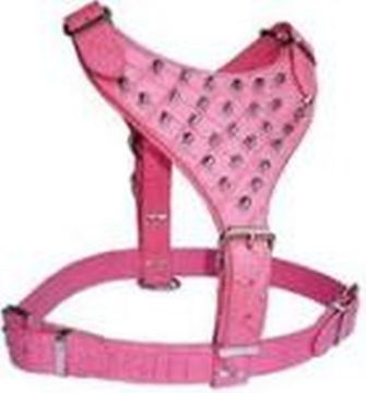 Picture of Avon Large Mastiff 'Breastplate' Harness Spiked Pink Croc Leather x 1