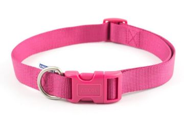 Picture of Ancol Viva Nylon Quick-Fit Collar 45-70cm L Size 5-9 Pink x 1