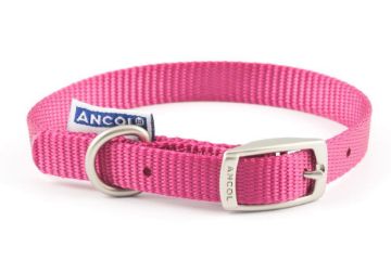 Picture of Ancol Viva Nylon Buckle Collar 20-26cm Size 1 Pink x 1