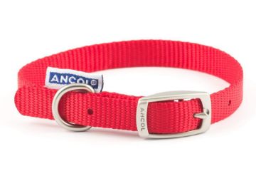 Picture of Ancol Viva Nylon Buckle Collar 26-31cm Size 2 Red x 1