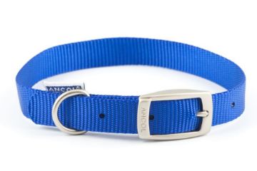 Picture of Ancol Viva Nylon Buckle Collar 35-43cm Size 4 Blue x 1