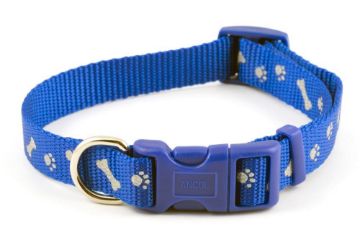 Picture of Ancol Paw'n'Bone Collar Blue Small x 1