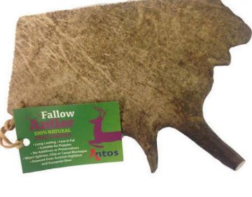 Picture of Wild Antler Co. Fallow Deer Antler Medium x 1